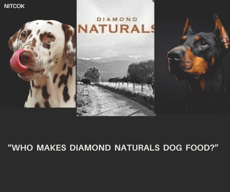 Who Makes Diamond Naturals Dog Food?