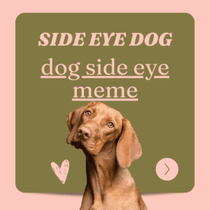 extremely amusing dog side eye memes that will make you laugh