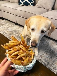 Chicken feet for dog