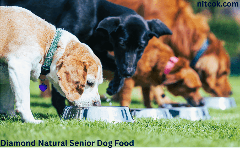 Diamond Natural Senior Dog Food